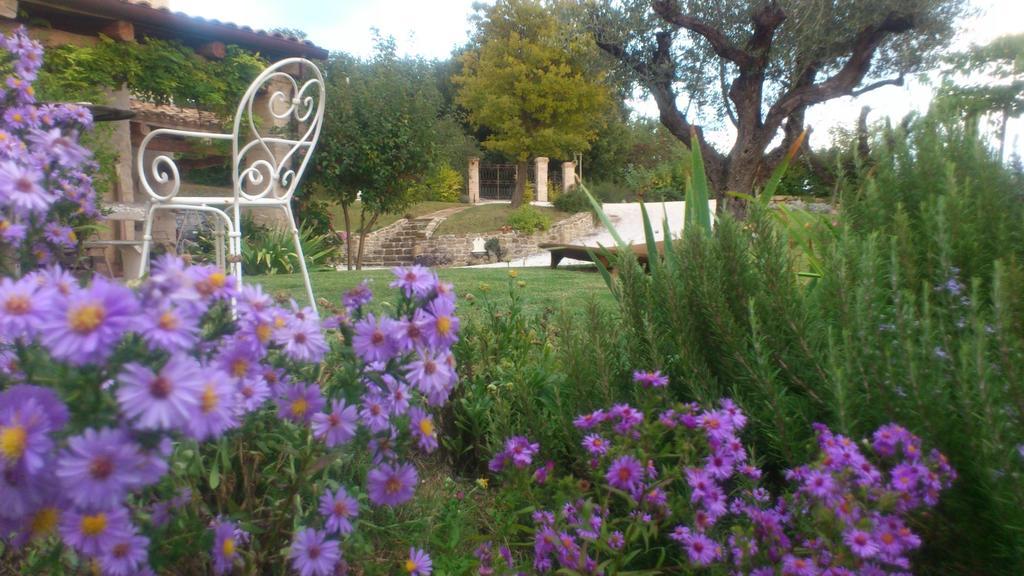 Bed & Breakfast Poggio Dei Prugnoli Tavoleto