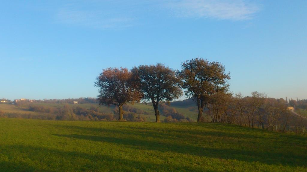 Poggio Dei Prugnoli Tavoleto