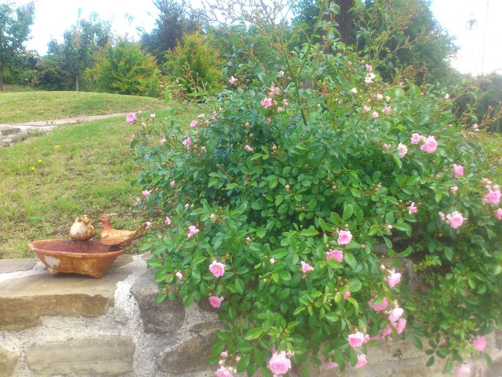 Bed & Breakfast Poggio Dei Prugnoli Tavoleto