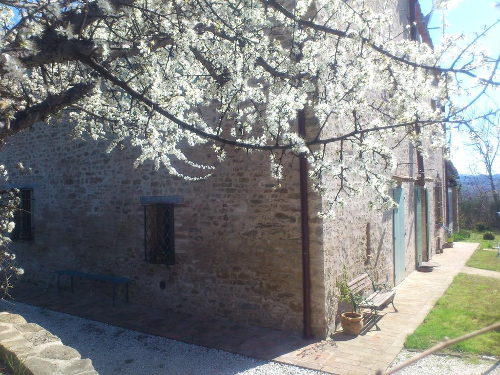 Frühstückspension Poggio Dei Prugnoli *