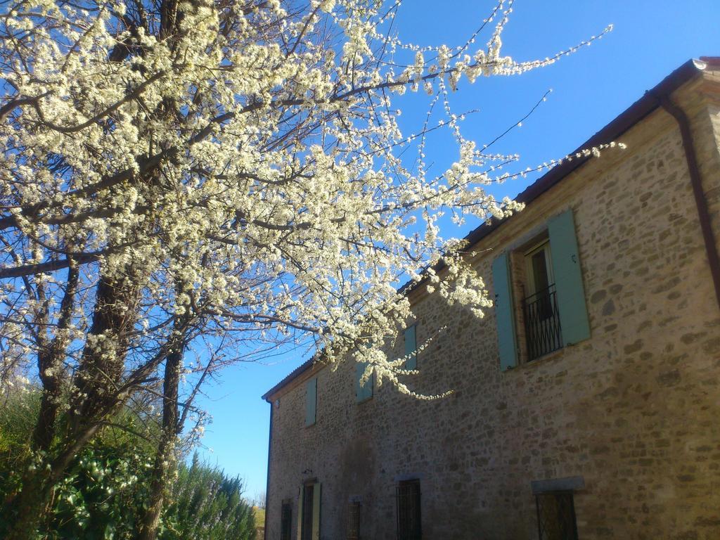 Frühstückspension Poggio Dei Prugnoli Tavoleto