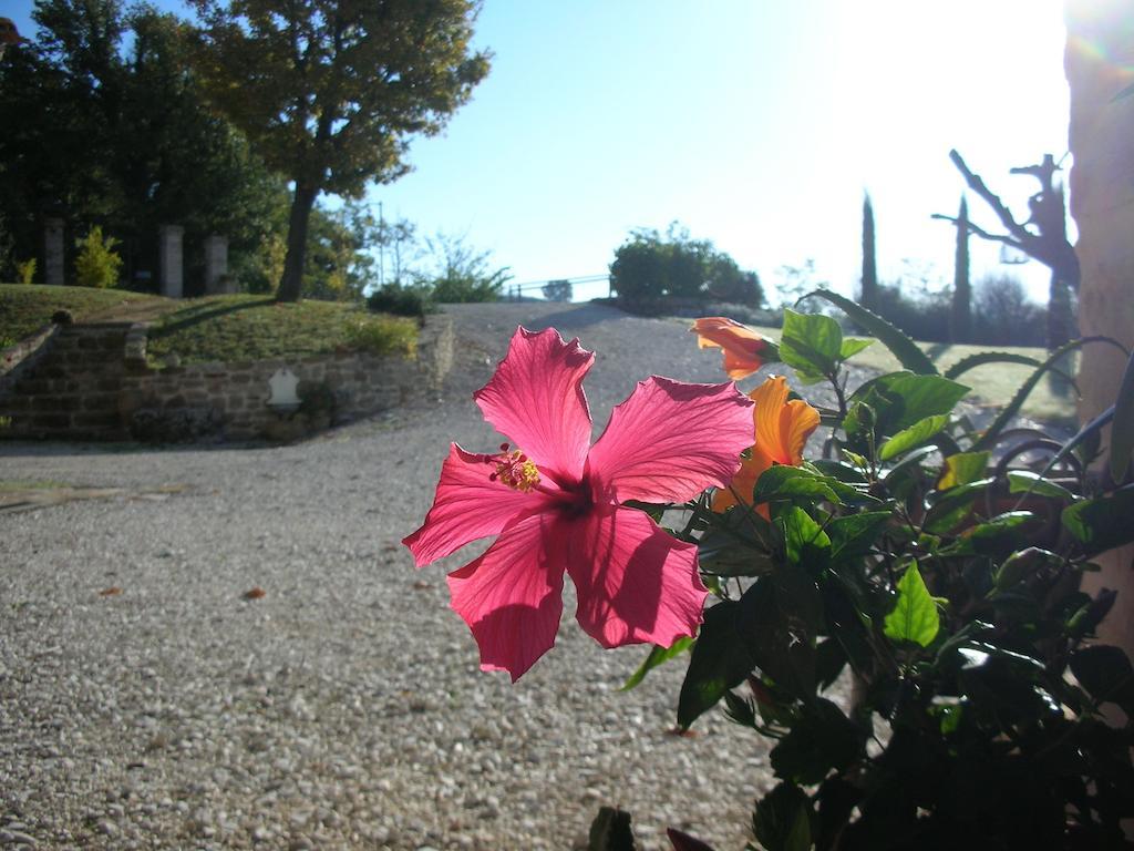 Poggio Dei Prugnoli